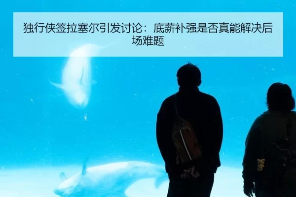 独行侠签拉塞尔引发讨论：底薪补强是否真能解决后场难题